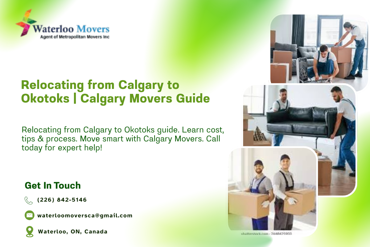 province to province movers